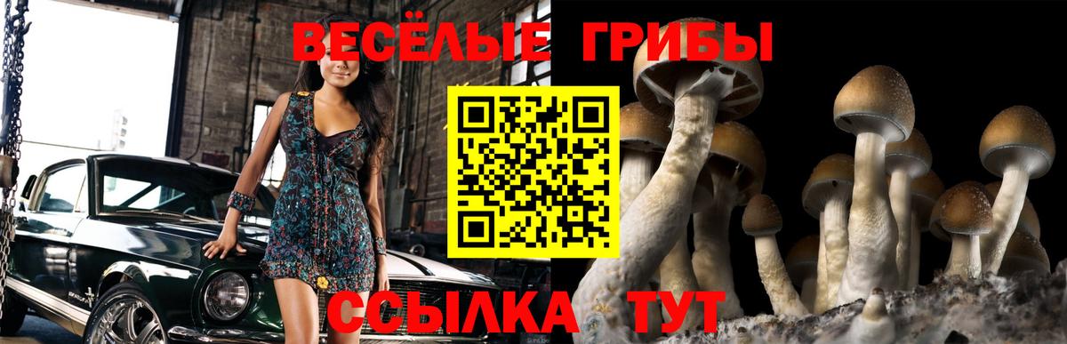 Нижний Тагил  Галлюциногенные грибы мухоморы  Вход с VPN  купить закладку  Псилоцибиновые грибы ЛСД 